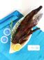 Mobile Preview: Frissfisch getrockneter Wels aus Österreich - Knusperfischhaut (Kauartikel)